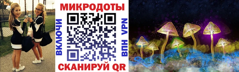 Галлюциногенные грибы ЛСД  где продают   MEGA зеркало  Новосокольники 